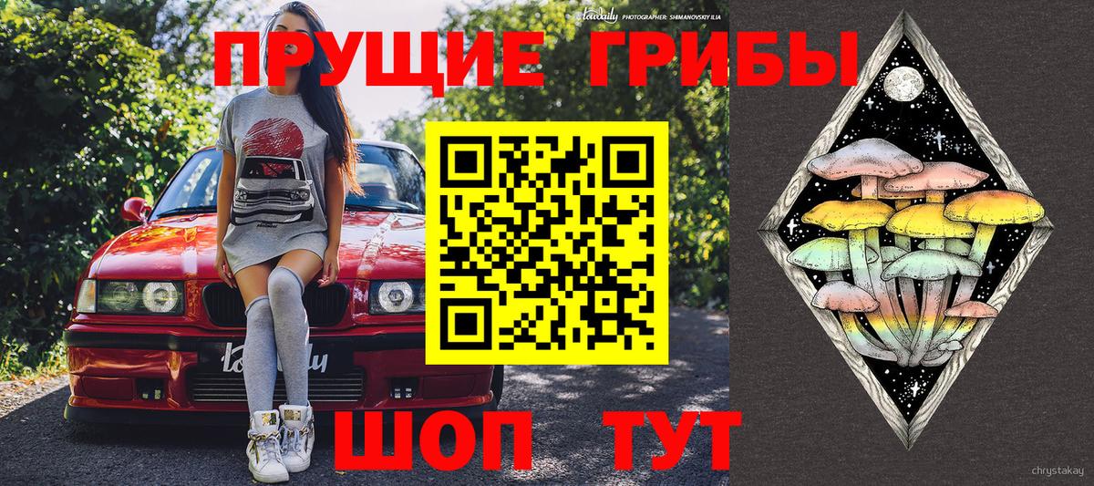 Гулькевичи  Псилоцибиновые грибы прущие грибы  Вход с VPN 